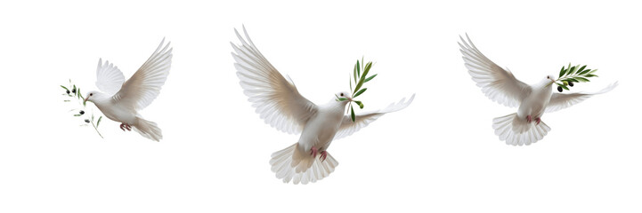 Fototapeta premium Set White Dove of Peace Illustrations - Graceful Flying Birds with Olive Branch Symbols Transparent Background PNG