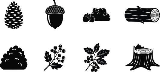 Collection of forest icons including pine cone acorn berries and wood elements perfect for nature or autumn themed designs © Muhammad