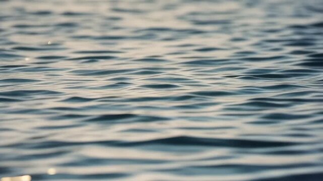 穏やかに揺れる波のシームレスループ
静かな海面と光の反射ループ映像