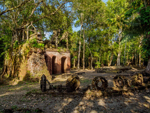 19th-Century Sugar Mill Ruins near Lamanai Archaeological Reserve, Indian Church, Orange Walk District, Belize