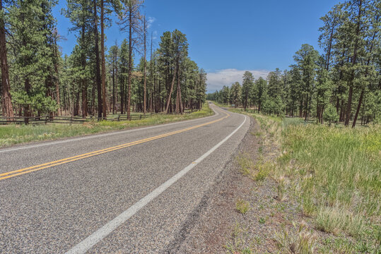 Highway 67 south of Jacob Lake Arizona facing southbound toward Grand Canyon North Rim