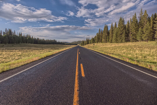 Highway 67 facing north in Pleasant Valley of Kaibab National Forest Arizona, North of Grand Canyon North Rim, USA