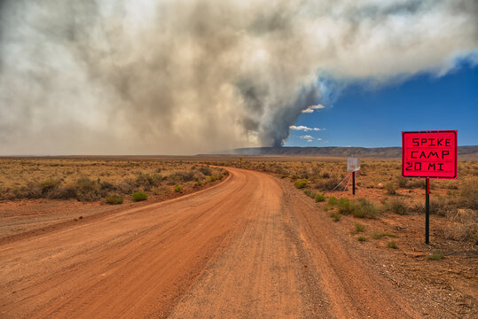 Smoke from the Dragon Bravo Wildfire burning on Grand Canyon North Rim billowing off the Kaibab Plateau, United States