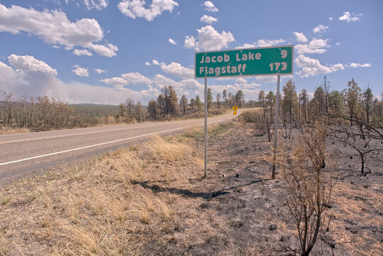 Road sign along US89A north of Jacob Lake Arizona that has been partially damaged by the White Sage Fire, Arizona, United States