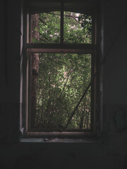 Fototapeta premium window on old abandoned house 