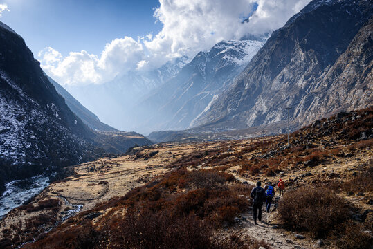 Trekking group walking alpine trail into a glacial valley surrounded by massive Himalayan walls in Langtang, Nepal