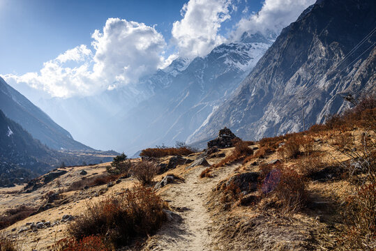 Golden trekking path winding through alpine scrub under dramatic clouds and cliffs in Langtang Valley, Nepal