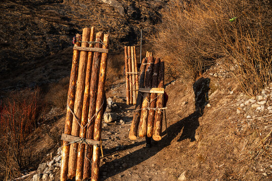 Porters carrying heavy wooden bundles up a rugged mountain trail in Langtang Valley, Nepal, under warm evening sunlight on a steep, rocky slope