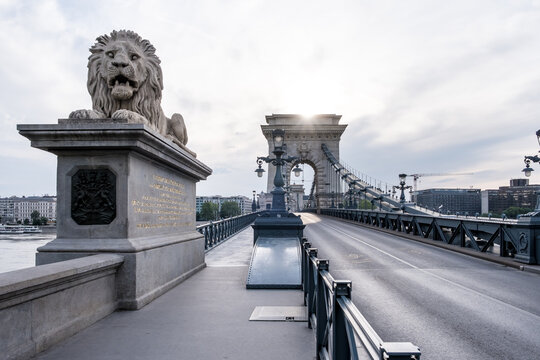 View of a stone lion at the Chain Bridge in Budapest with the bridge structure in the background