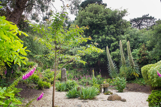 Valley Garden on Herm Island, Bailiwick of Guernsey, United Kingdom