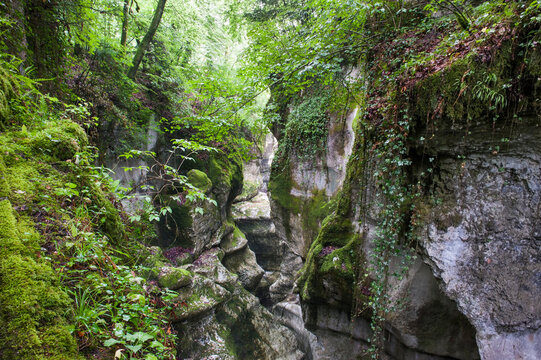 Fier Gorge river, Lovagny, near Annecy, Haute-Savoie department, Rhone-Alpes region, France, Europe