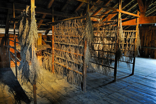 Absinthe drying shed, Boveresse, Val-de Travers, canton of Neuchatel, Switzerland, Europe