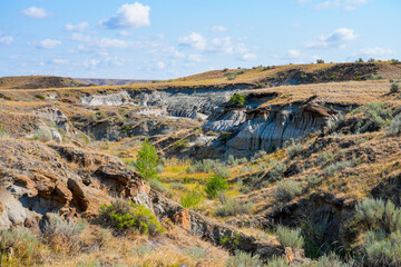 Obraz premium Badlands in the Dinosaur Provincial Park, Alberta, Canada