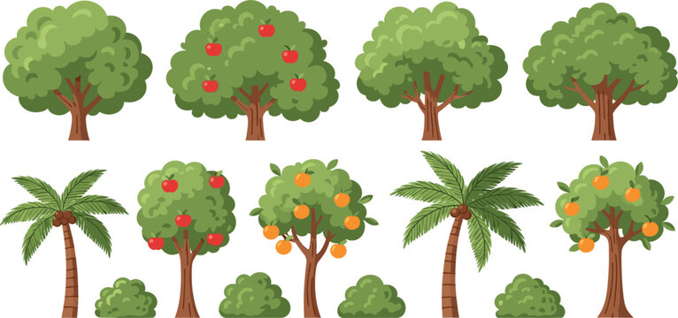 Flat vector illustration set of cartoon green trees including apple trees, orange trees, palm trees, and garden bushes, isolated on white background.