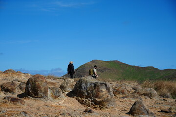 black vulture on the rocks