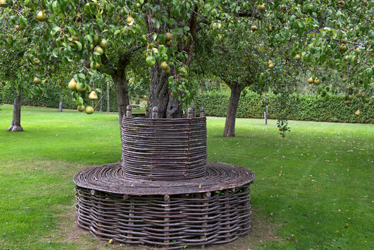 Bench made with trellis, Gardens of the Priory of Our Lady of Orsan (Prieure Notre-Dame d'Orsan), Department of Cher, Historic Province of Berry, Centre-Val de Loire region, France