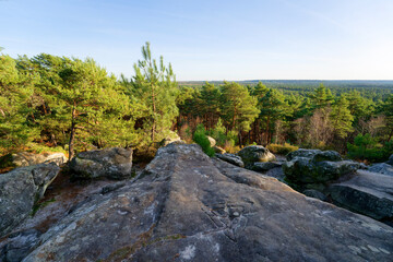 Point of view of the Avon rock in Fontainebleau forest  © hassan bensliman