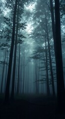 Misty Forest with Sunlight Filtering Through Trees.