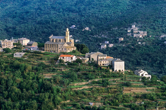 San-Martino-di-Lota, commune of the Cap Corse, Haute-Corse department, Northern Corsica, France, Europe