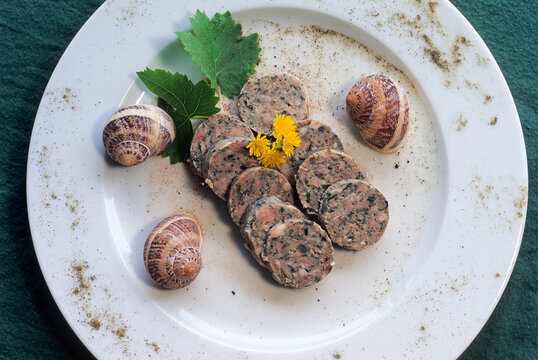 Dish with snails from the Fontaine de Bernn at Bernon, Aube department, Champagne-Ardenne region, France, Europe