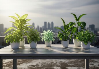 Fototapeta premium Several potted plants on a table outdoors in the city