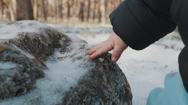 Close-up of a baby's hand touching cold snow on a rock in a winter forest. Concept of childhood curiosity and exploring nature during the cold season.