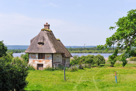 Thatched cottage by the 'La Grand-Mare' pond, Marais Vernier, Boucles de la Seine normande Regional Nature Park, Eure department, Normandy region, France, Europe