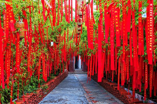Bamboo garden filled with well wishing ribbons in Kaiyuan Temple, Chaozhou, Guangdong Province, China