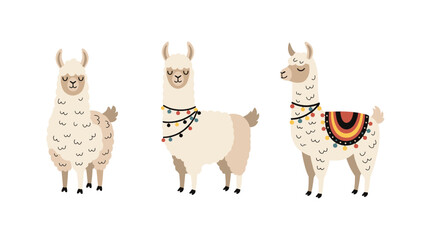 Fototapeta premium Set of three different white llama characters featuring plain, beaded, and traditional colorful blanket versions on white.