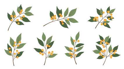 Obraz premium Set of eight botanical branches with green leaves and small yellow berries arranged in clean grid on white background.