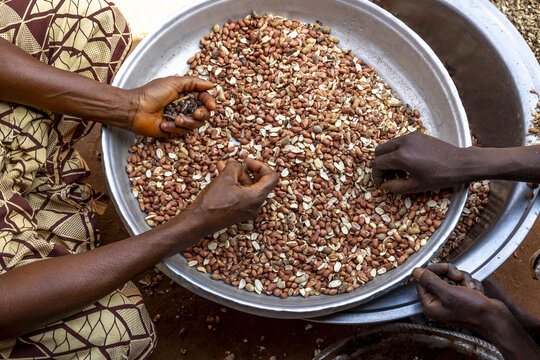 Workshop where peanuts are transformed into klui klui sticks in central Benin