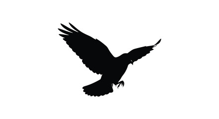 Fototapeta premium A striking black silhouette of a bird in flight wings outstretched showcasing graceful aerial movement silhouette