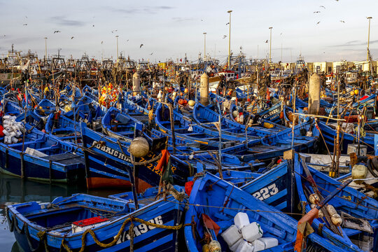 Fishing boats in harbor, Essaouira, Morocco