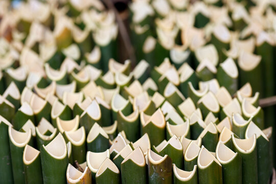 Hollowed bamboo for cooking rice. Kontum. Vietnam.