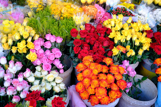 Flower shop. Fresh colorful flowers for sale. Kontum. Vietnam.