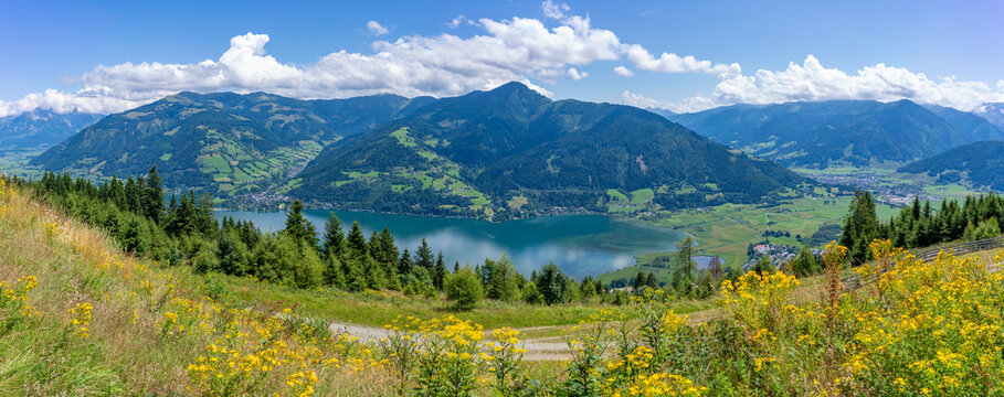 View of flowers, meadows and mountains from Plettsaukopf Reservoir on a sunny day, Bruckberg, Salzburg, Austria, Europe