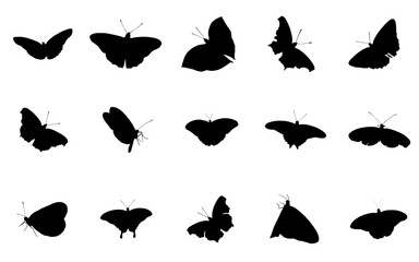 Black butterfly silhouettes collection. Includes 13 different butterfly icons. Created in solid black style on white background. © Designer Raian