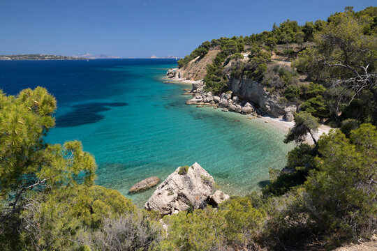 Spetses beach with pine trees and crystal clear blue water, Spetses, Saronic Islands, Greek Islands, Greece, Europe