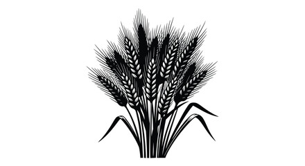 A detailed illustration of wheat stalks and grain heads presented in a striking black silhouette high quality professional © Komla02