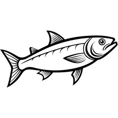 Fototapeta premium Tarpon line art vector