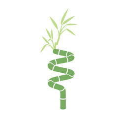 Green spiral lucky bamboo stalk with sprouting leaves. Minimalist flat vector illustration representing Feng Shui, growth, and zen decor