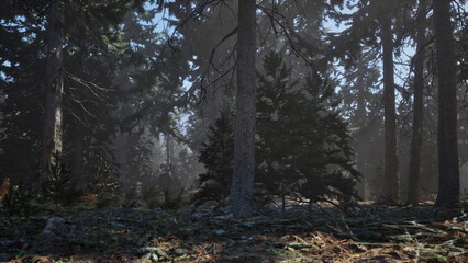 Dappled sunlight shines through the branches of towering trees in a peaceful forest. Soft shadows dance on the ground as nature awakens, creating a tranquil atmosphere.