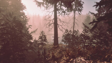 Obraz premium Sunlight filters through a thick forest, creating a mystical atmosphere. The fog nestles among tall trees and lush greenery, capturing the serenity of an early morning in nature.