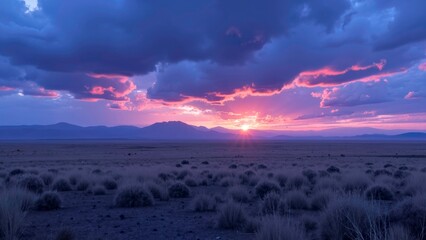 Obraz premium Sunset Grassland Illustration