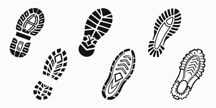 A variety of different footprints from various animals and people Vector