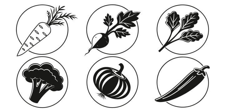 A variety of different types of pasta shapes and forms Vector