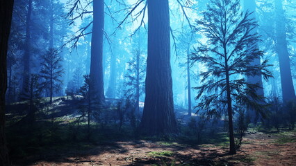 Obraz premium Tall trees rise in a serene forest, their shapes silhouetted against a magical blue light. The mist hangs in the air, creating a tranquil atmosphere perfect for exploration or reflection.