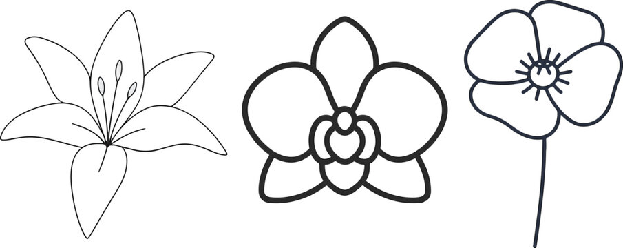 Black And White Floral Icons Set With Lily, Orchid And Poppy Line Art