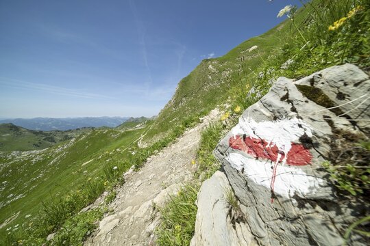 Trail marker on the Laufbacher-Eckweg, a demanding high-altitude hiking trail from H&ouml;fatsblick mountain station to Oytal, Allg&auml;u Alps, Allg&auml;u, Bavaria, Germany