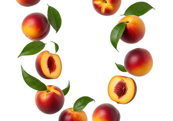 Fresh peaches and nectarines arranged in a circle on black background